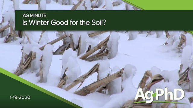 Is Winter Good For Soil?