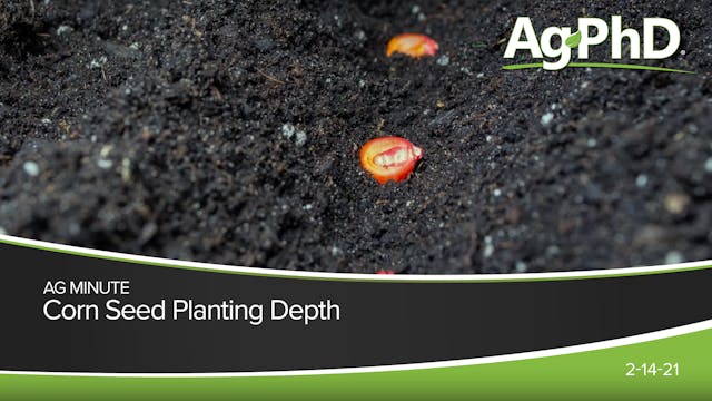 Corn Seed Planting Depth | Ag PhD