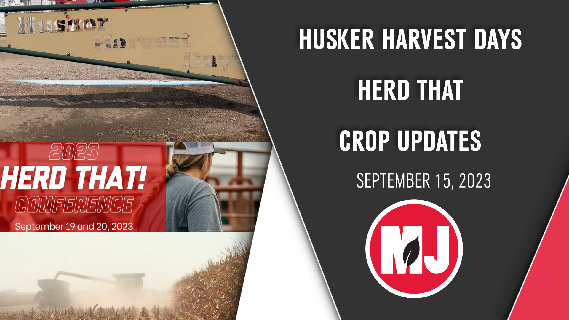 September 15, 2023 | Market Journal