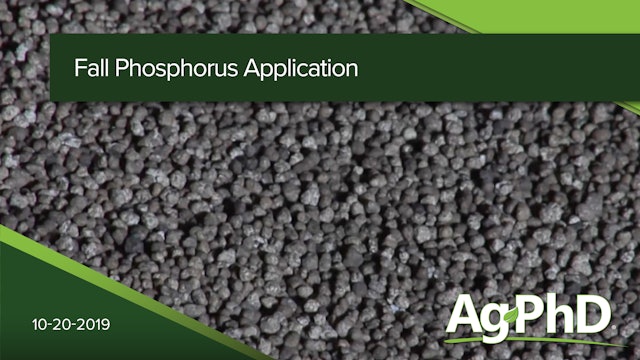 Fall Phosphorus Application