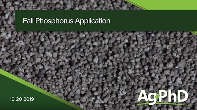 Fall Phosphorus Application | Ag PhD