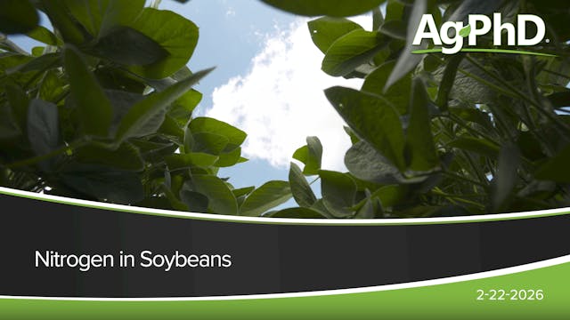 Nitrogen in Soybeans | Ag PhD
