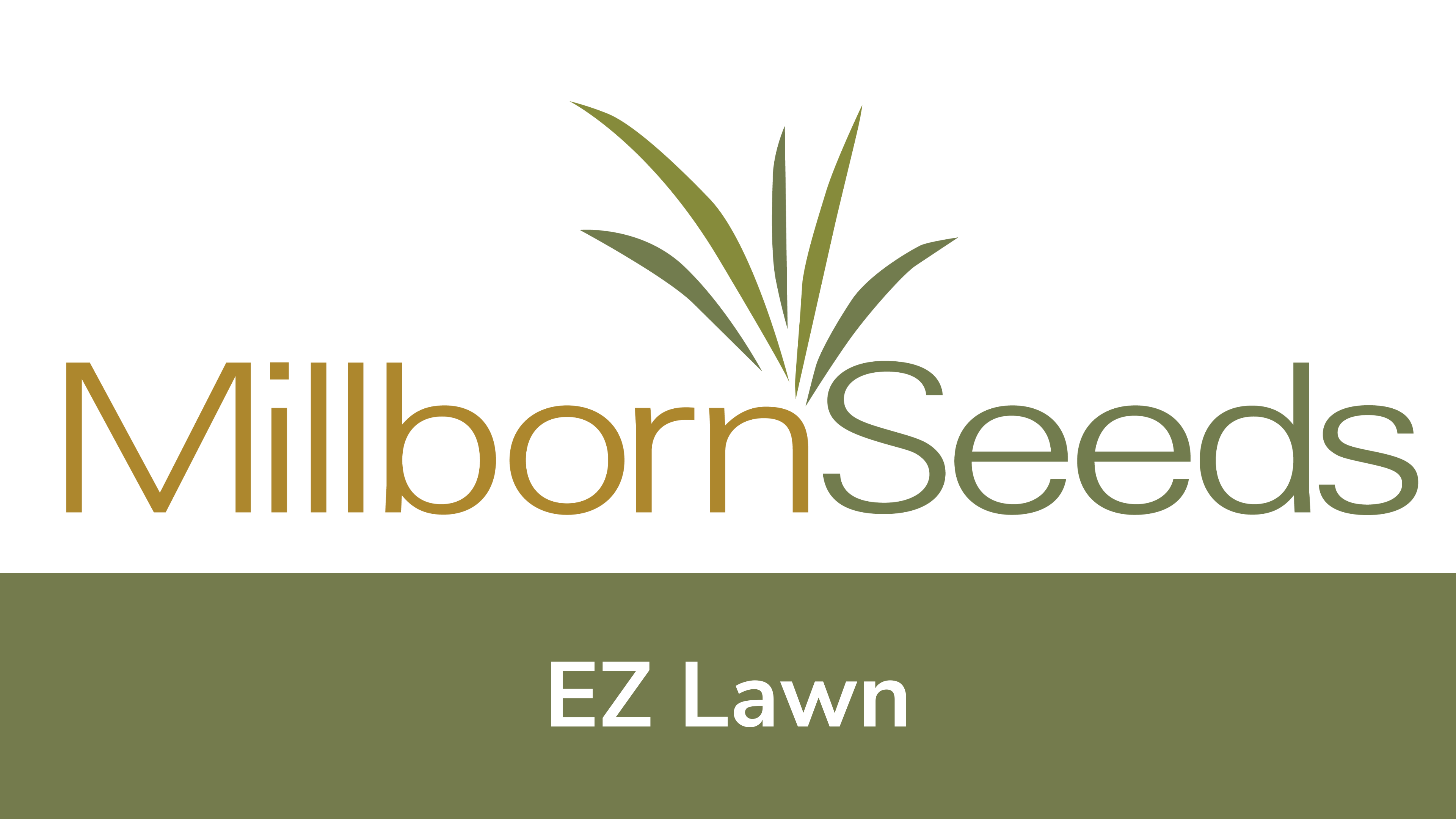 Millborn Seeds - EZ Lawn