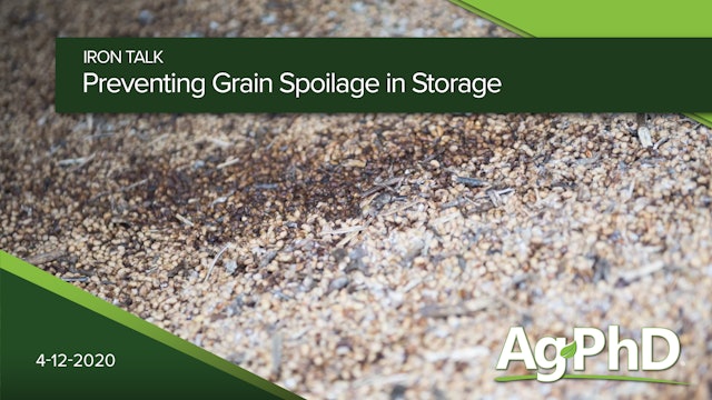 Preventing Grain Spoilage in Storage | Ag PhD
