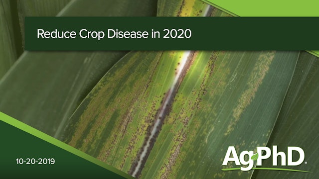 Reducing Crop Disease for 2020