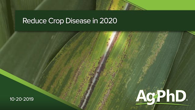 Reducing Crop Disease for 2020 | Ag PhD