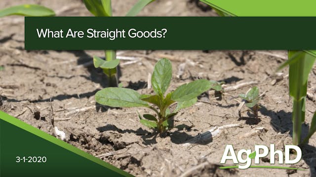 What Are Straight Good Herbicides? | ...