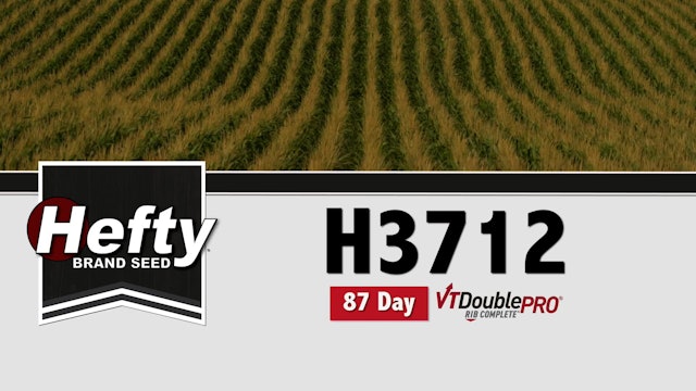 H3712 | 87-Day | VT2P 