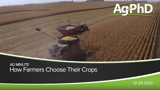 How Farmers Choose Their Crops