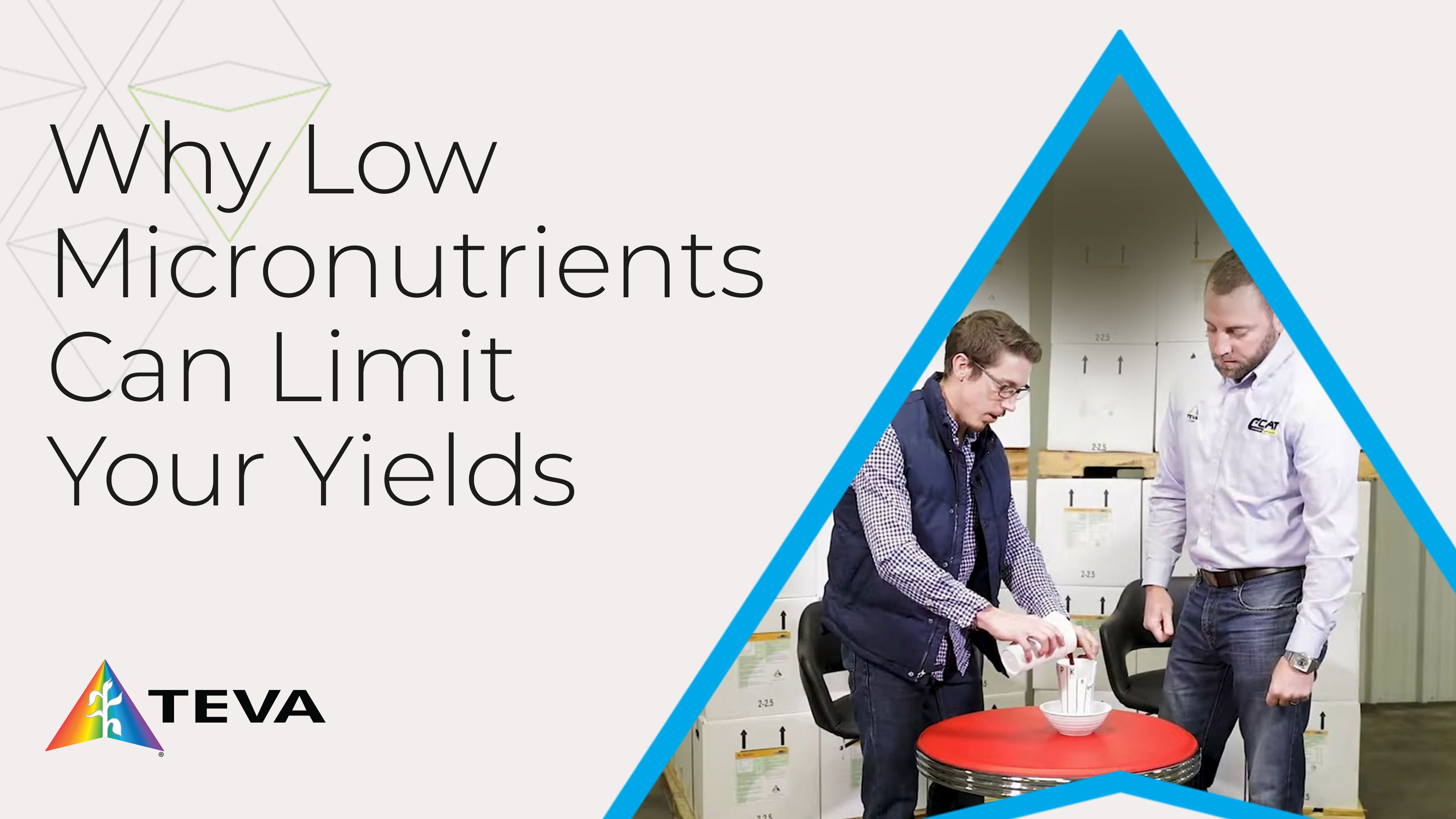 The Importance of Micronutrients in Crop Production | TEVA