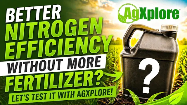 Better Nitrogen Efficiency Without Mo...