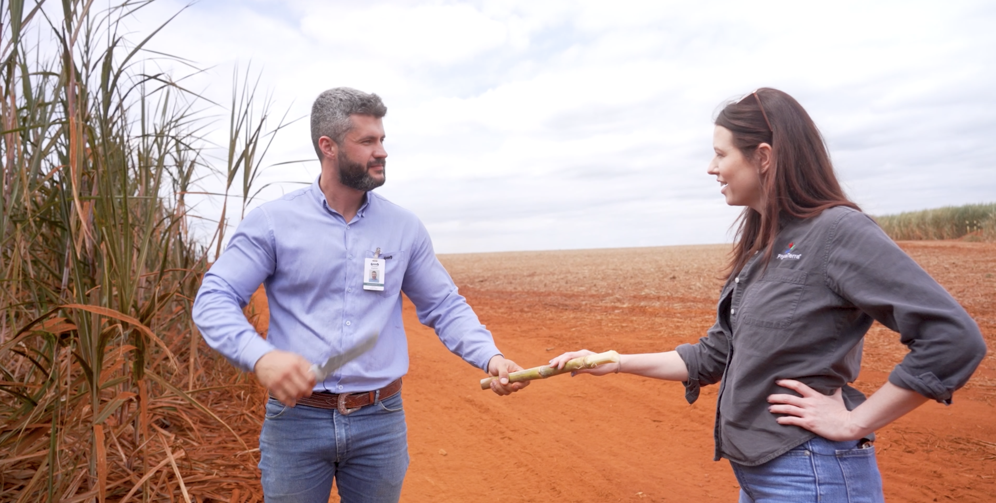 Pour Some Sugar On Me | 303 | Live to Farm