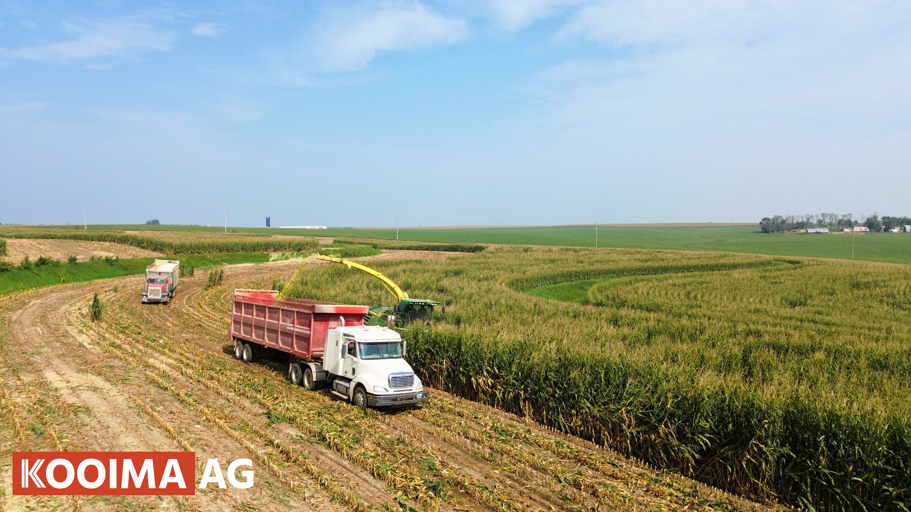 Harvesting Downed Corn with Hurricane Points | Kooima Ag