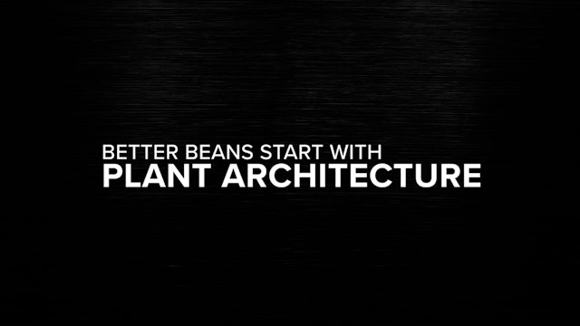 Using Plant Architecture to Grow Better Beans