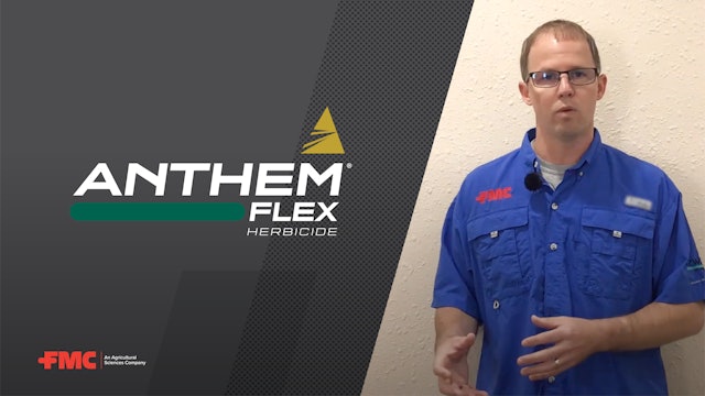 Tips to Tackle the Evolving Wheat Weed Spectrum | FMC