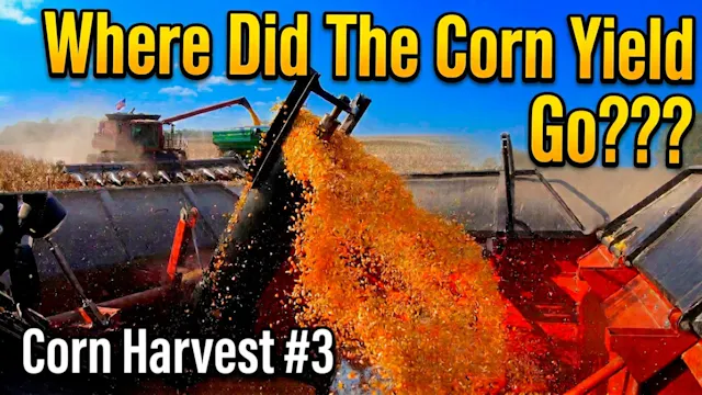 Where Did The Corn Yield Disappear To...
