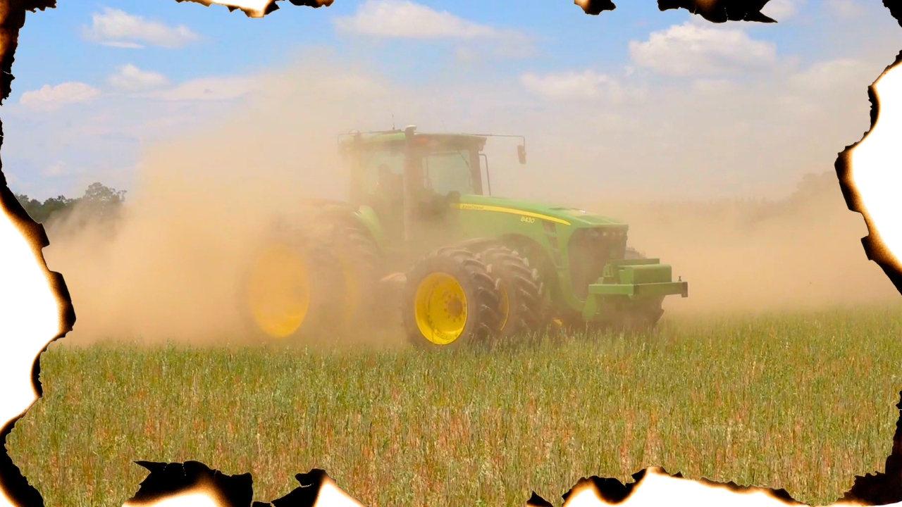 Please Send Rain to North Florida | Field Rows