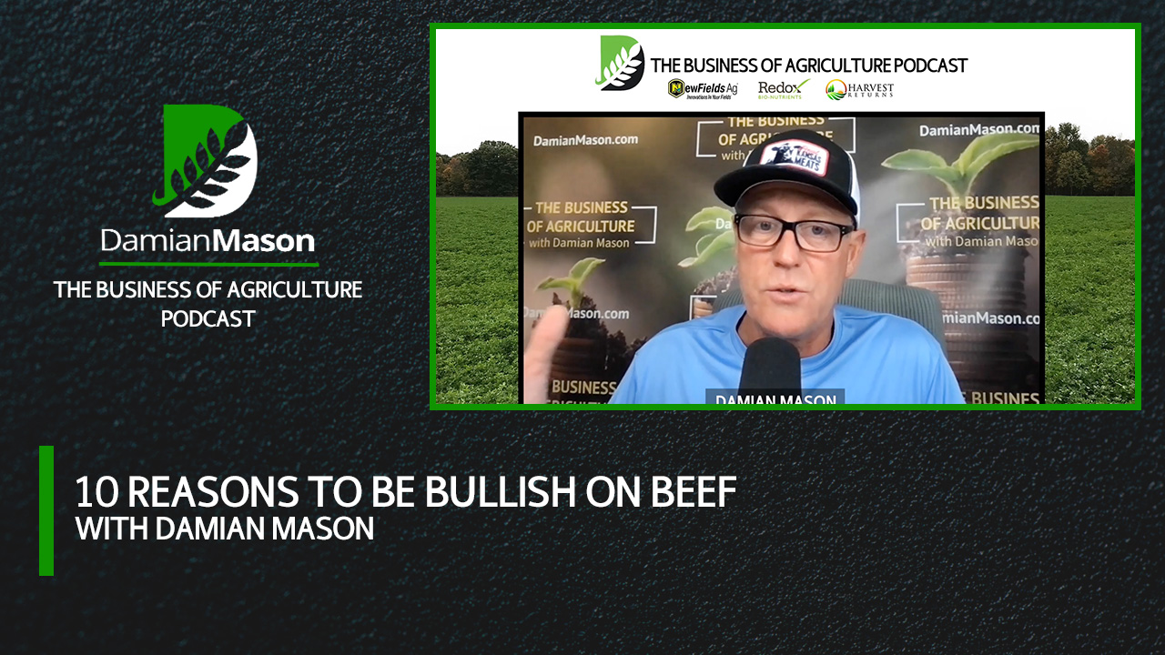 Ten Reasons To Be Bullish On Beef | Damian Mason