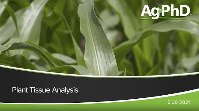 Plant Tissue Analysis | Ag PhD