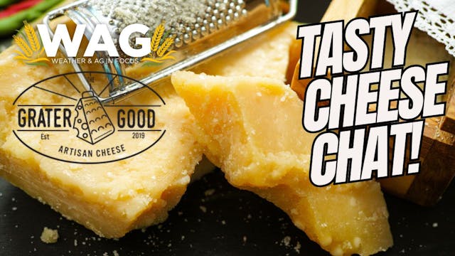 Tasty Cheese Chat! | WAG in Focus 11/...