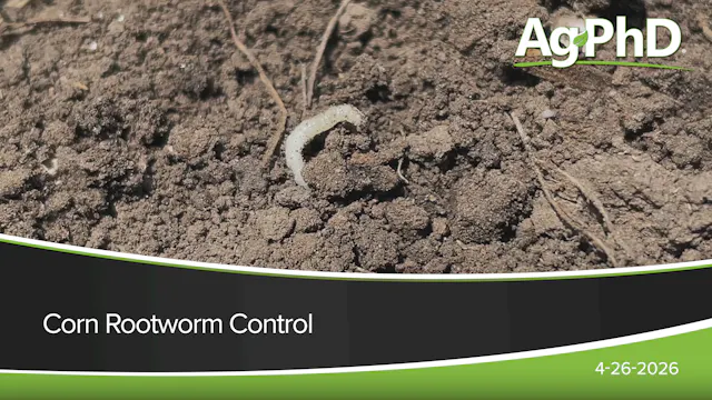 Corn Rootworm Control | Ag PhD