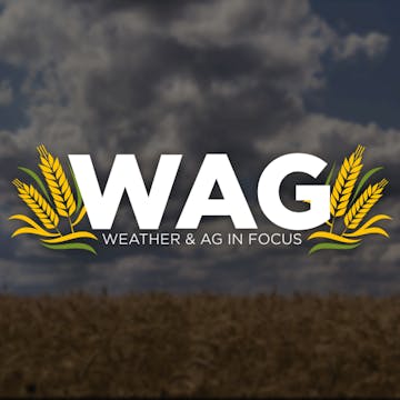 Vom on My Wheat? | WAG in Focus 09/19/24