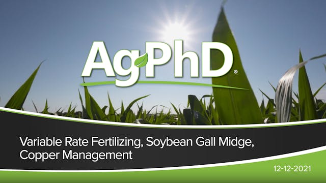 Variable Rate Fertilizing, Soybean Ga...