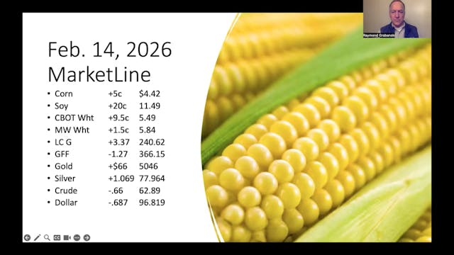 February 14, 2026 - Ag Market News | ...