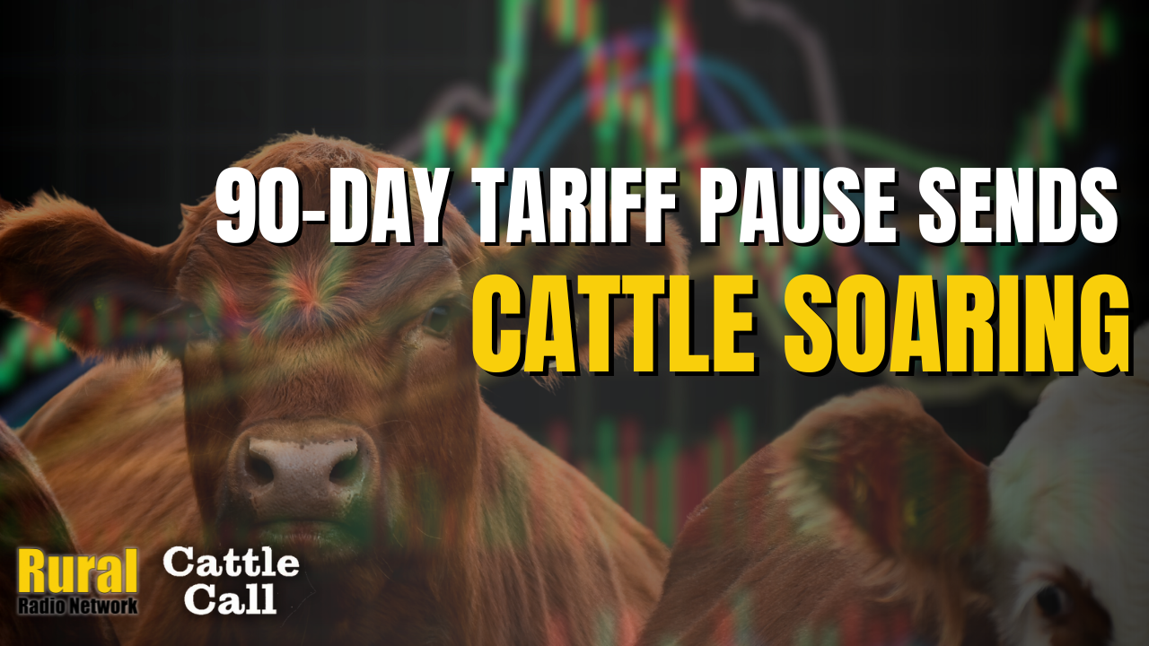 Markets Jump on Trump Tariff Shift, China Hit With 145% Levy | Cattle Call