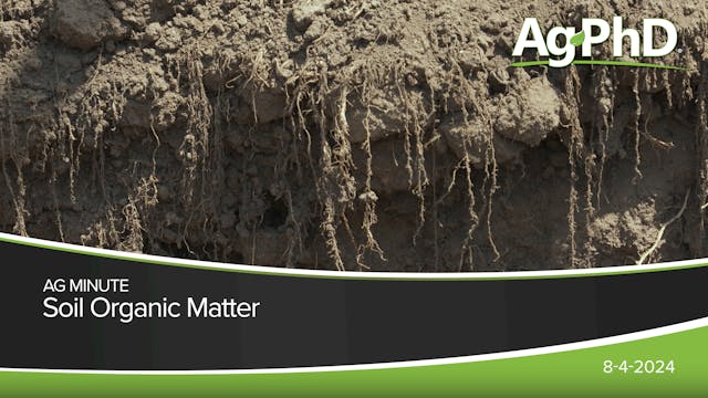 Soil Organic Matter | Ag PhD