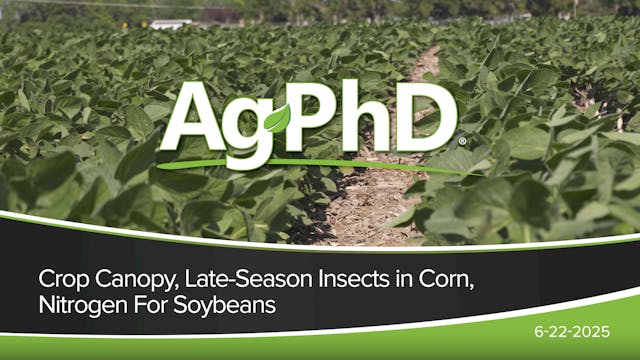 Crop Canopy, Late-Season Insects in C...