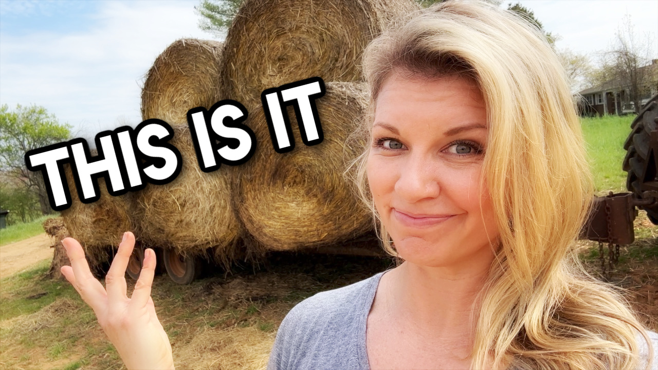 This Is It For Hay and Calves || This Farm Wife