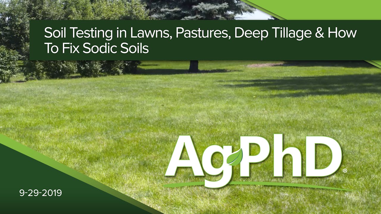 Soil Testing in Lawns, Pastures, Deep Tillage, How to Fix Sodic Soils 2019 AcresTV