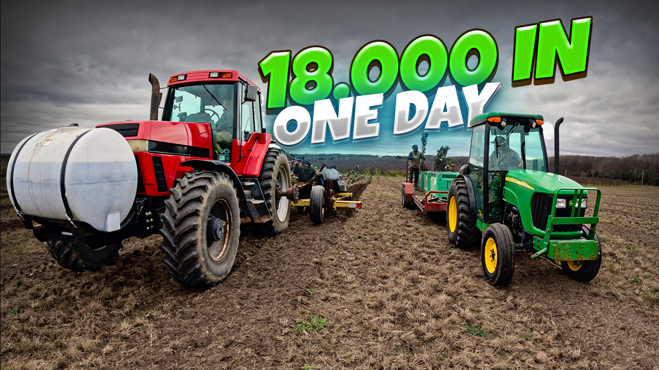 How To Plant 18,000 Apple Trees In One Day | Pomes and Stones