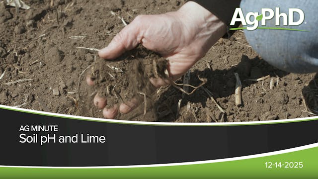 Soil pH and Lime | Ag PhD