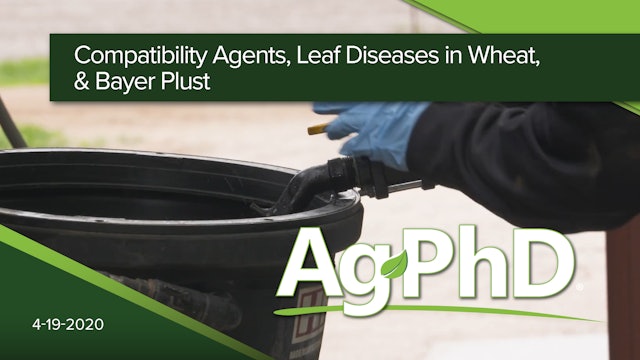 Compatibility Agents, Leaf Diseases in Wheat & Bayer Plus | Ag PhD