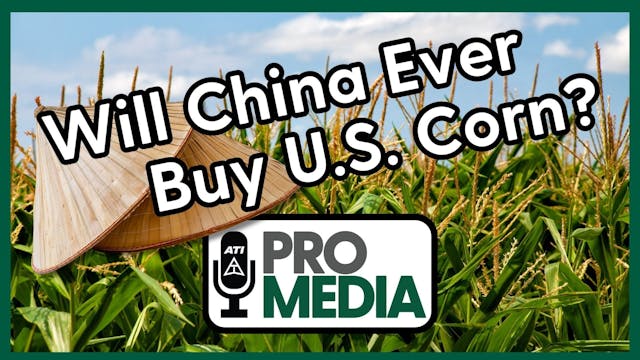 Will China Ever Buy U.S. Corn? | ATI ...