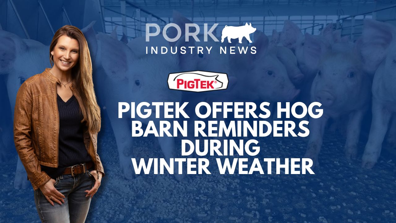 PigTek Reminds Pork Producers of Hog Barn Practices During Cold | Pride of Pork