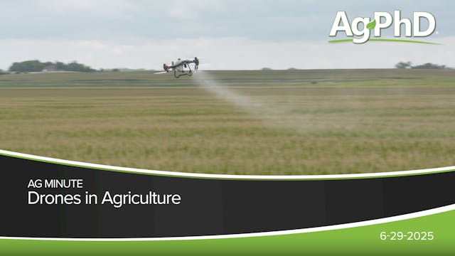 Drones in Agriculture | Ag PhD