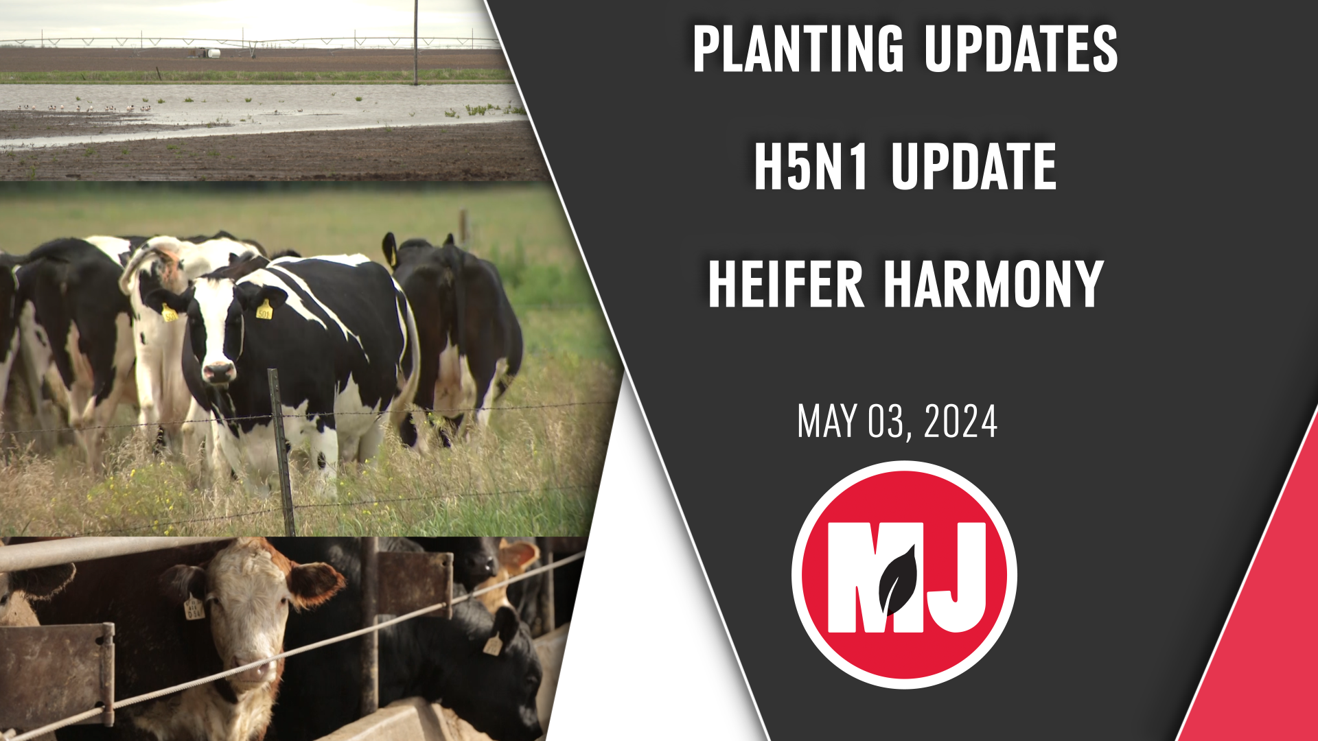 May 03, 2024 | Market Journal