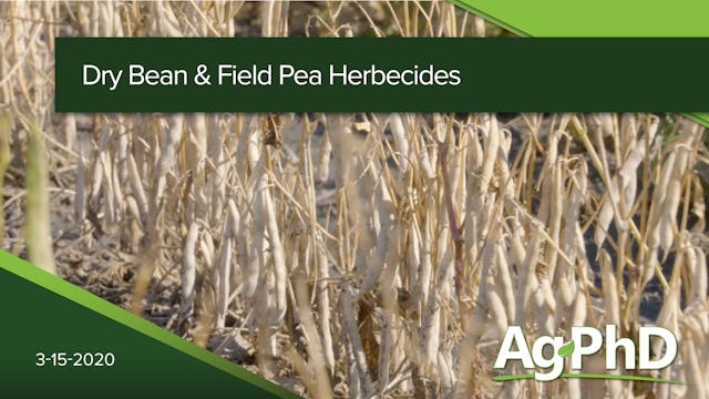 Dry Bean and Field Pea Herbicides