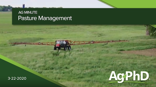 Pasture Management | Ag PhD