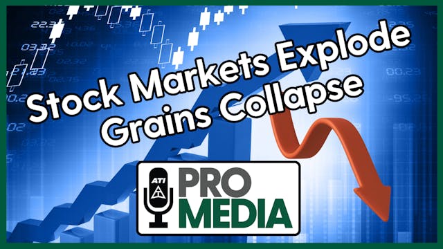 Stock Markets Explode - Grains Collap...