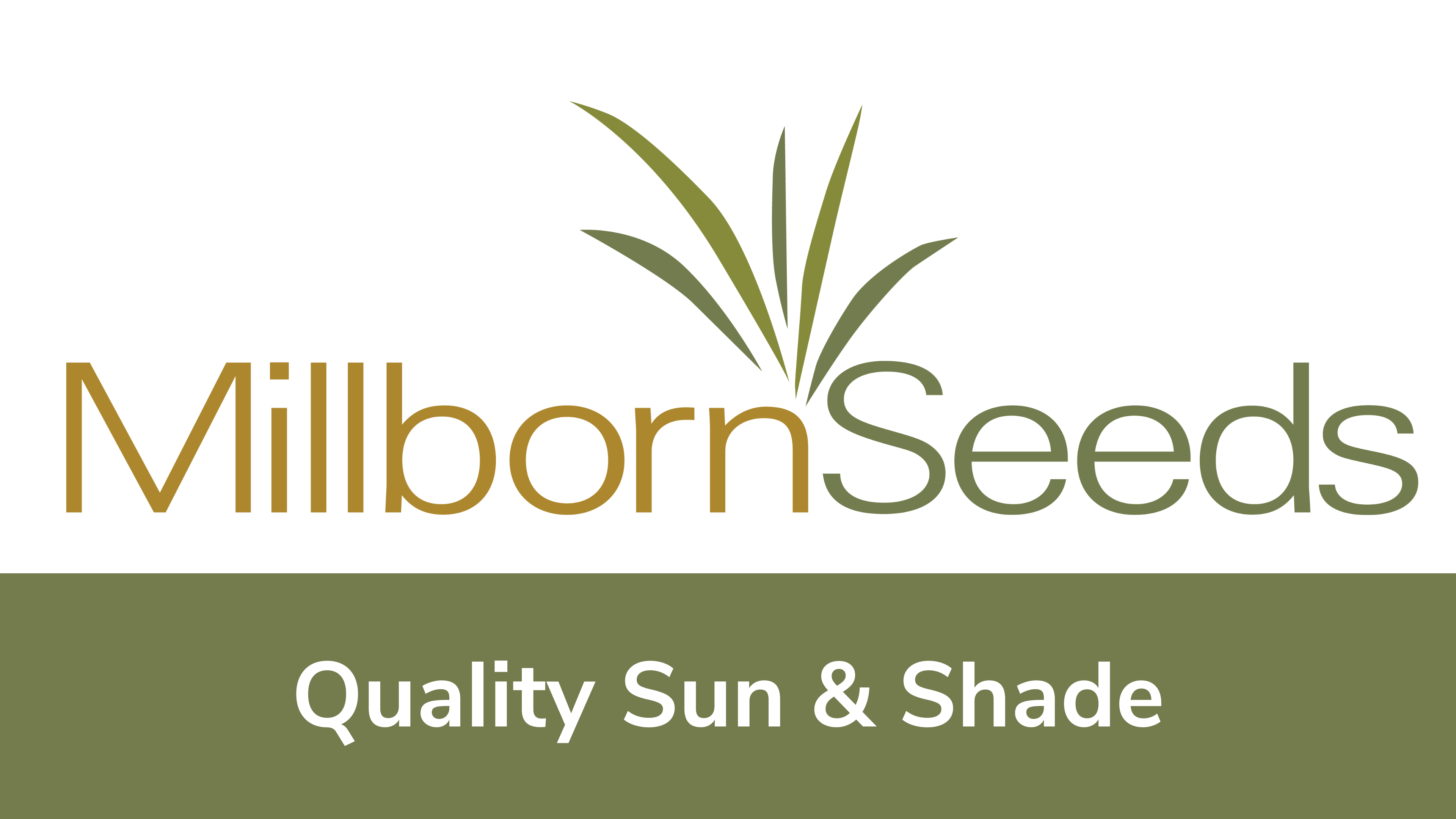Millborn Seeds - Quality Sun & Shade