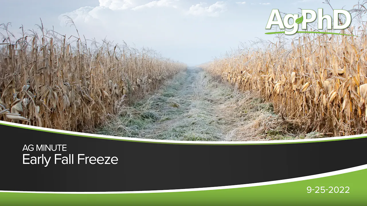 Early Fall Freeze | Ag PhD - 2022 - AcresTV