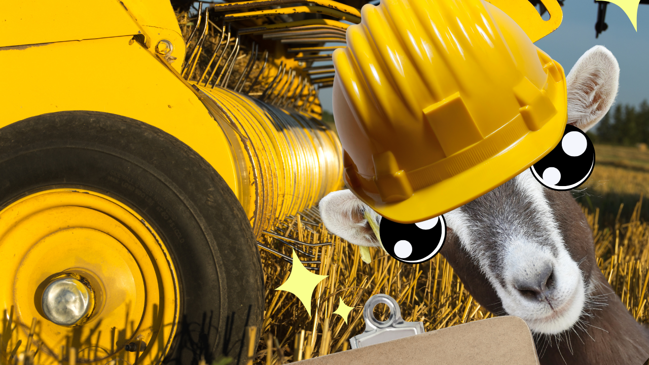 Harvest Safety Tips | WAG in Focus 08-29-25