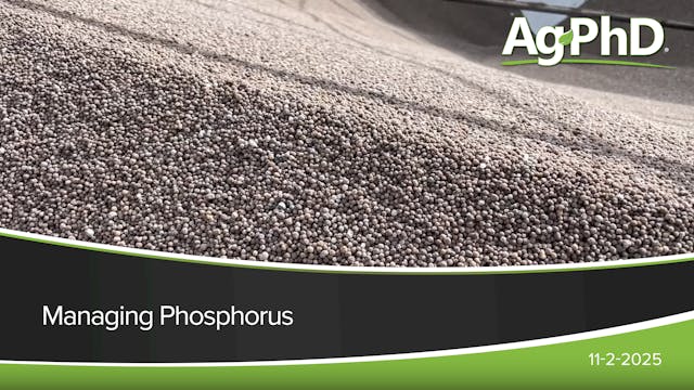 Managing Phosphorus | Ag PhD