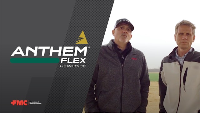 Two Ways Your Wheat Herbicide Could Transform Other Crop Acres | FMC