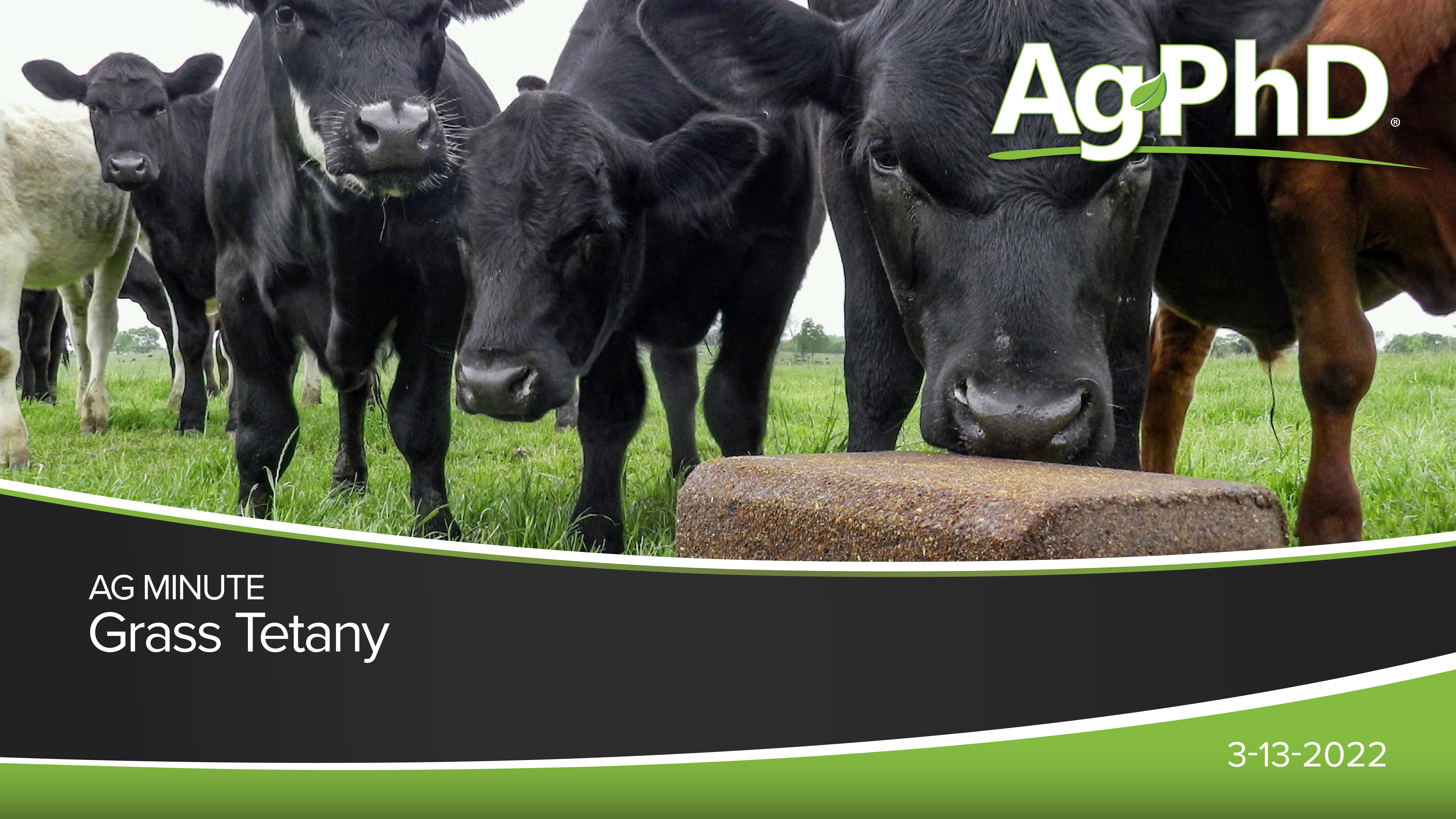Grass Tetany | Ag PhD