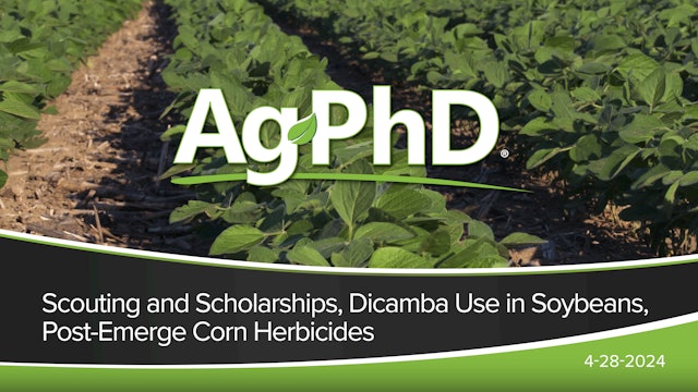 Scouting and Scholarships, Dicamba Use in Soybeans, Post-Emerge Corn Herbicides